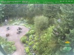 Archiv Foto Webcam Oberhof: Rennsteiggarten 06:00