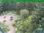 Archiv Foto Webcam Oberhof: Rennsteiggarten 07:00