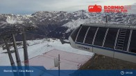 Archived image Webcam Bormio: Mountain Station Cima Bianca 08:00