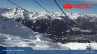 Archiv Foto Webcam Bormio: Bergstation Cima Bianca 12:00