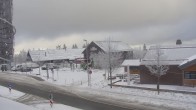 Archiv Foto Webcam Ausblick in Torfhaus im Harz 12:00