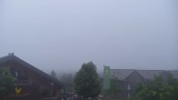 Archived image Webcam View in Torfhaus in the Harz Mountains 05:00