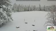 Archived image Webcam Todtnauberg - Ski slope at Scheuermattwiese 09:00