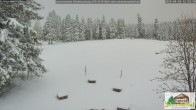 Archived image Webcam Todtnauberg - Ski slope at Scheuermattwiese 11:00