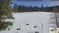 Archived image Webcam Todtnauberg - Ski slope at Scheuermattwiese 13:00