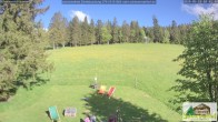 Archived image Webcam Todtnauberg - Ski slope at Scheuermattwiese 17:00