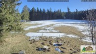 Archiv Foto Webcam Scheuermatthof Todtnauberg - Blick auf die Piste 13:00