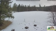 Archived image Webcam Todtnauberg - Ski slope at Scheuermattwiese 13:00