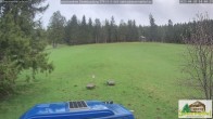 Archived image Webcam Todtnauberg - Ski slope at Scheuermattwiese 13:00