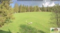 Archiv Foto Webcam Scheuermatthof Todtnauberg - Blick auf die Piste 17:00