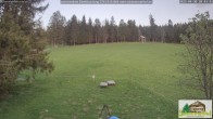 Archived image Webcam Todtnauberg - Ski slope at Scheuermattwiese 19:00