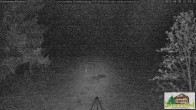 Archived image Webcam Todtnauberg - Ski slope at Scheuermattwiese 21:00