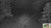 Archiv Foto Webcam Scheuermatthof Todtnauberg - Blick auf die Piste 01:00