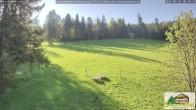 Archiv Foto Webcam Scheuermatthof Todtnauberg - Blick auf die Piste 07:00