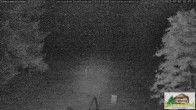 Archiv Foto Webcam Scheuermatthof Todtnauberg - Blick auf die Piste 01:00