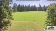 Archived image Webcam Todtnauberg - Ski slope at Scheuermattwiese 11:00