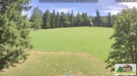Archived image Webcam Todtnauberg - Ski slope at Scheuermattwiese 13:00