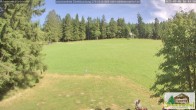 Archived image Webcam Todtnauberg - Ski slope at Scheuermattwiese 15:00