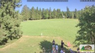 Archived image Webcam Todtnauberg - Ski slope at Scheuermattwiese 17:00