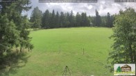 Archiv Foto Webcam Scheuermatthof Todtnauberg - Blick auf die Piste 11:00