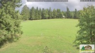 Archiv Foto Webcam Scheuermatthof Todtnauberg - Blick auf die Piste 15:00
