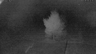 Archived image Webcam Ski Slope Salzburger Kopf 21:00