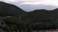 Archiv Foto Webcam Bad Lauterberg: Ausblick Panoramic Hotel 19:00