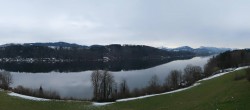 Archived image Webcam Wallersee - Lakeview 13:00