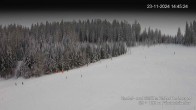 Archiv Foto Webcam Skilifte Kalte Herberge 14:00