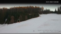 Archiv Foto Webcam Skilifte Kalte Herberge 15:00