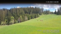 Archiv Foto Webcam Skilifte Kalte Herberge 13:00