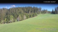 Archiv Foto Webcam Skilifte Kalte Herberge 17:00