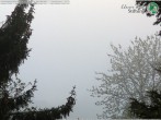 Archived image Webcam Idar Oberstein - View Göttschied 05:00