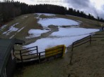 Archiv Foto Webcam Willingen-Usseln: Emmet Skilift 13:00