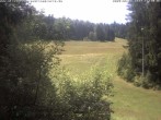 Archived image Webcam Enzklösterle Ski Centre: Slope 11:00