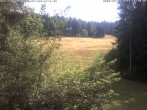 Archived image Webcam Enzklösterle Ski Centre: Slope 15:00