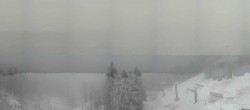 Archiv Foto Webcam Bergstation am Hohenbogen 11:00