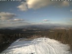 Archived image Webcam Geisskopfbahn top station 11:00