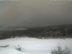 Archived image Webcam Geisskopf ski resort: Top Station Forsthauslift 11:00