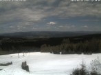 Archived image Webcam Geisskopf ski resort: Top Station Forsthauslift 11:00