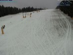 Archiv Foto Webcam St. Englmar: Predigtstuhl Piste 13:00