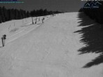 Archiv Foto Webcam St. Englmar: Predigtstuhl Piste 04:00