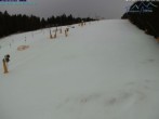 Archived image Webcam Predigtstuhl slope 11:00