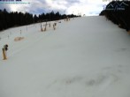 Archived image Webcam Predigtstuhl slope 13:00