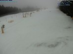 Archiv Foto Webcam St. Englmar: Predigtstuhl Piste 11:00