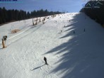 Archiv Foto Webcam St. Englmar: Predigtstuhl Piste 12:00