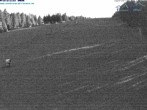 Archived image Webcam Predigtstuhl slope 20:00
