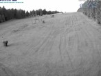 Archiv Foto Webcam St. Englmar: Predigtstuhl Piste 03:00