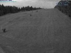 Archiv Foto Webcam St. Englmar: Predigtstuhl Piste 21:00