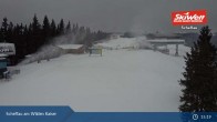 Archiv Foto Webcam Scheffau am Wilden Kaiser - Brandstadl 14:00